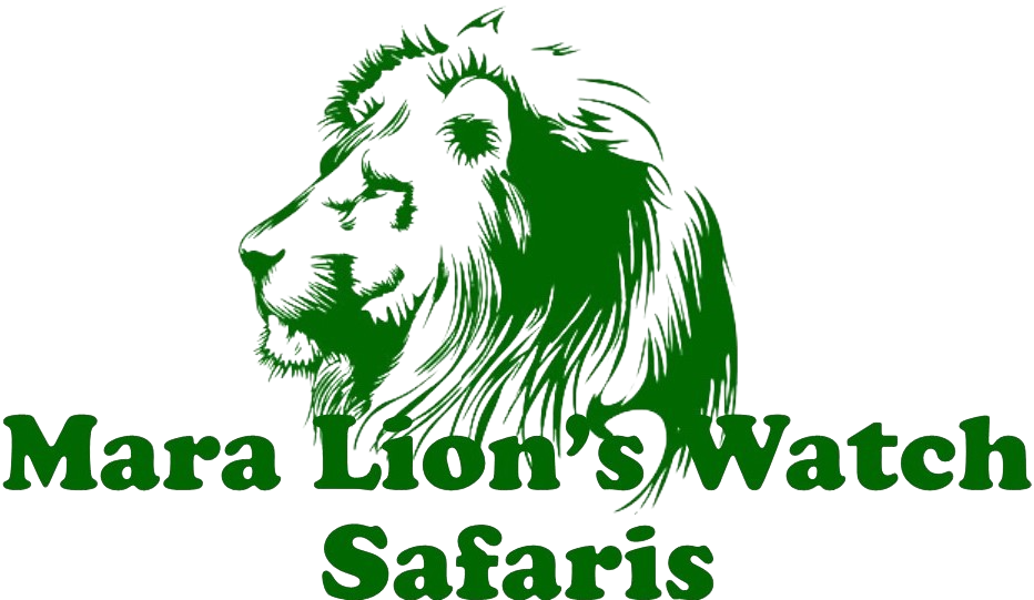 Mara Lion's Watch Safaris
